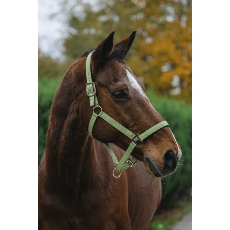 equitheme-spring-nylon-headcollar (2).jpg