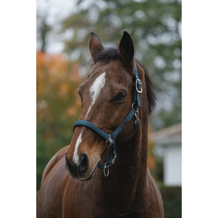 equitheme-spring-nylon-headcollar (3).jpg