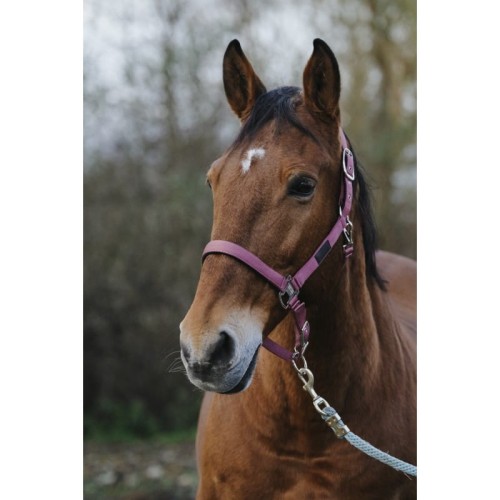  Kantar "SPRING" EQUITHEME