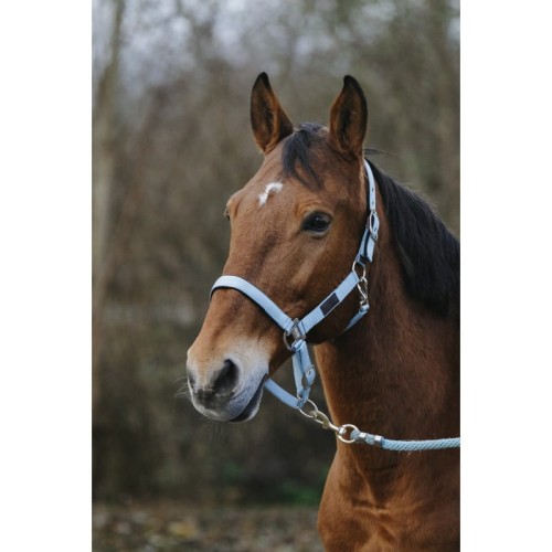  Kantar "SPRING" EQUITHEME