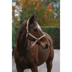 Kantar  "SPRING"  EQUITHEME