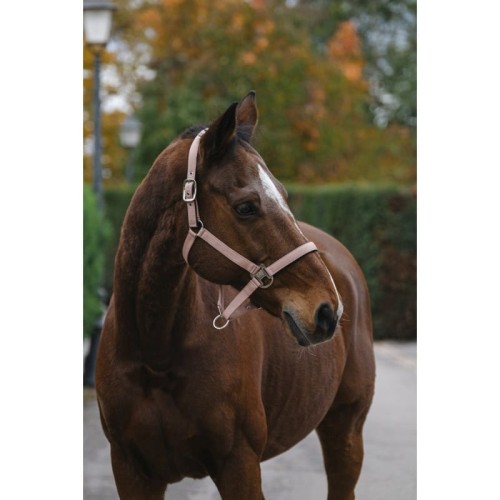 Kantar  "SPRING"  EQUITHEME