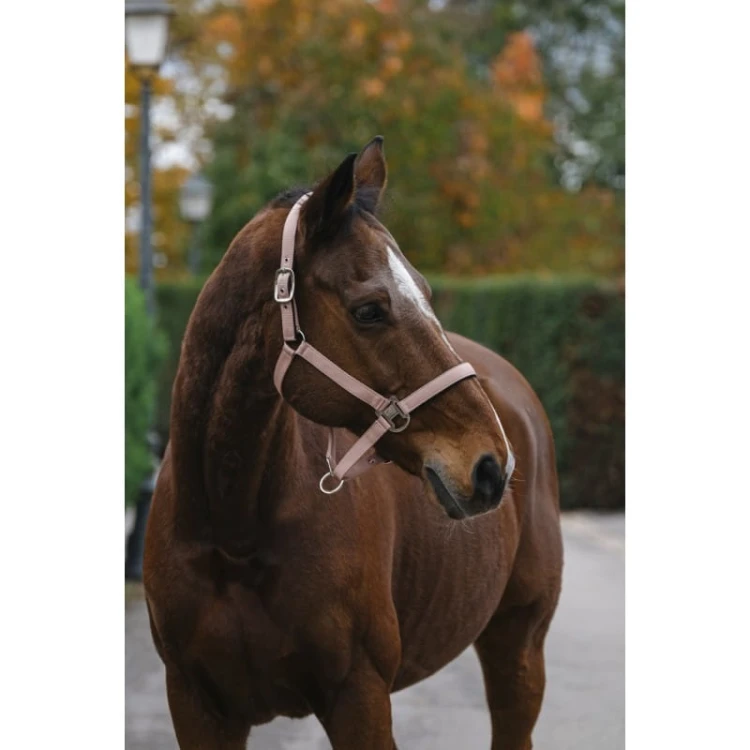 equitheme-spring-nylon-headcollar (7).jpg