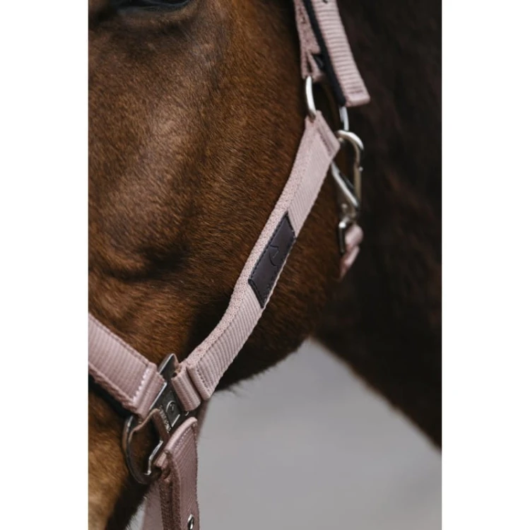 equitheme-spring-nylon-headcollar (8).jpg