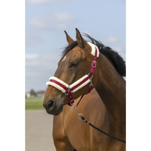 Kantar z futerkiem "NYLON MOUTON" EQUITHÈME 