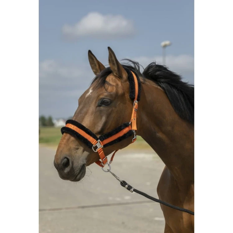 equitheme-nylon-mouton-headcollar (1).jpg