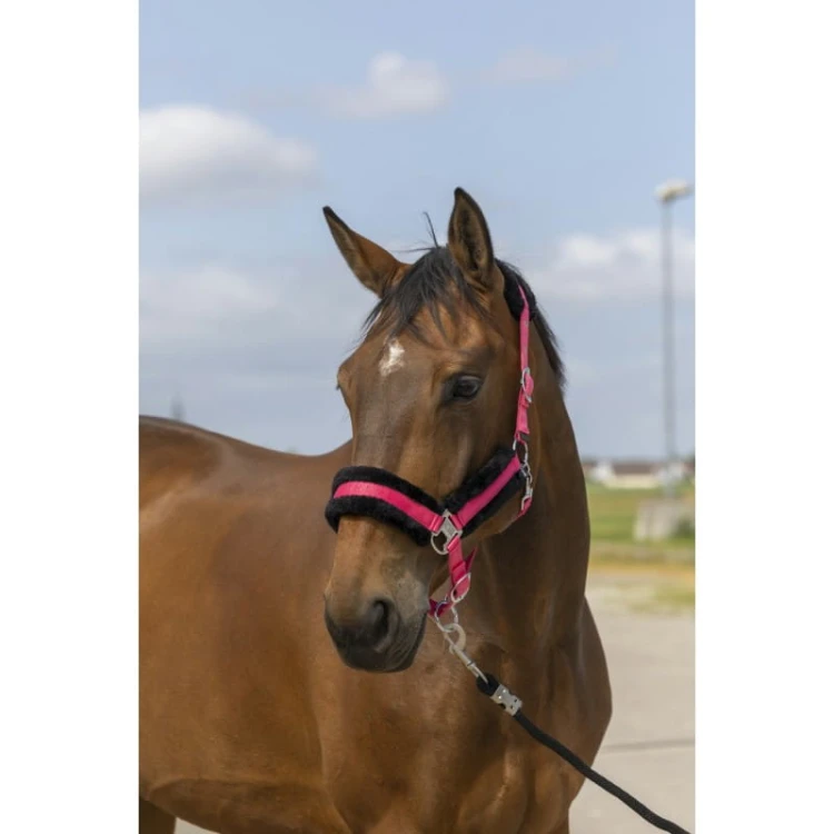 equitheme-nylon-mouton-headcollar (2).jpg