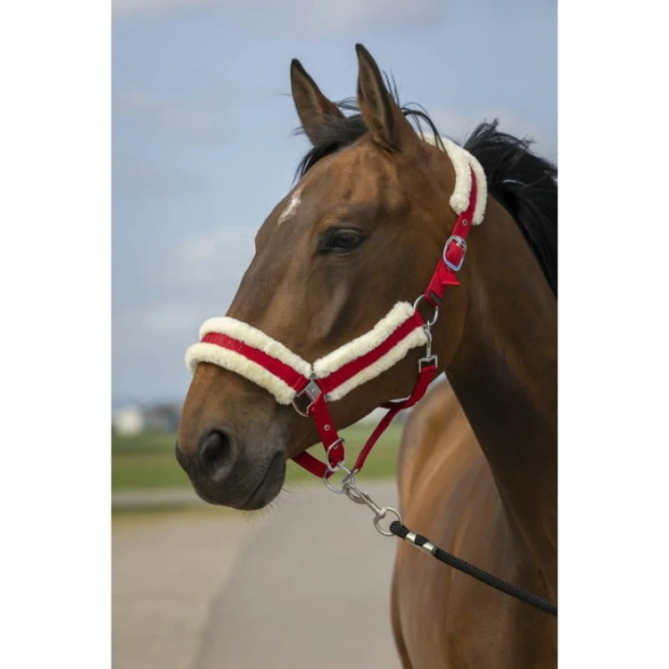 equitheme-nylon-mouton-headcollar (5).jpg
