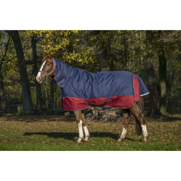 equitheme-tyrex-1200-d-combo-turnout-rug.jpg