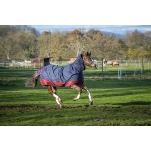 EQUITHÈME "TYREX 1200 D" - derka 0 g