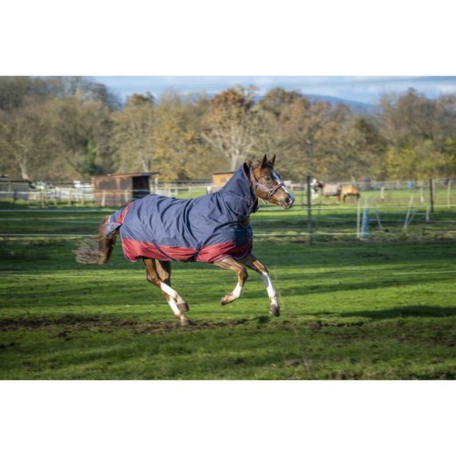 equitheme-tyrex-1200-d-combo-turnout-rug (1).jpg