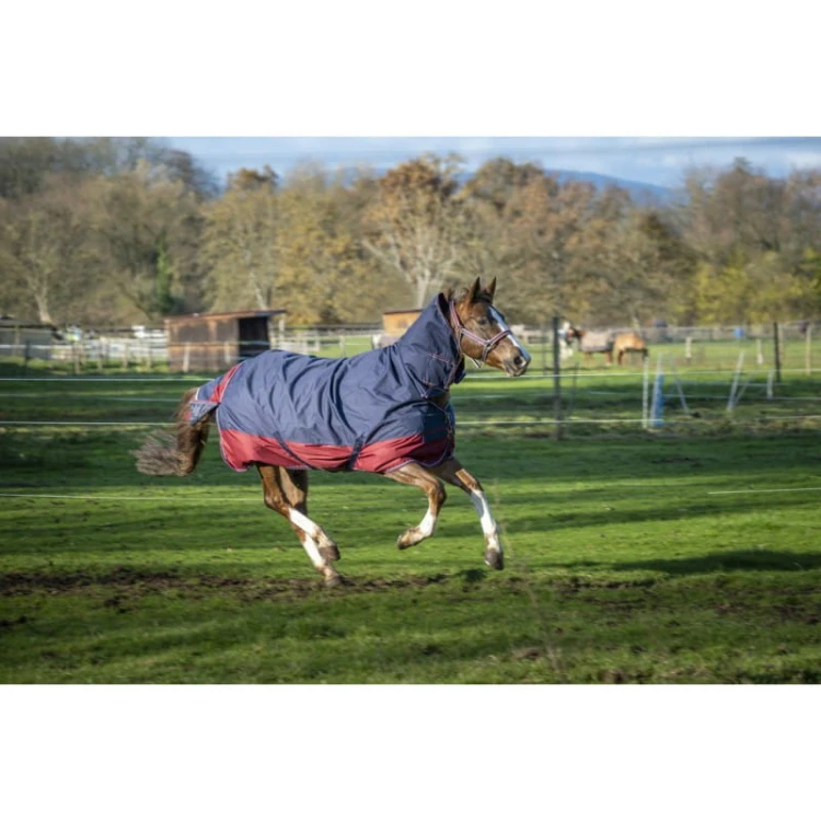 equitheme-tyrex-1200-d-combo-turnout-rug (1).jpg