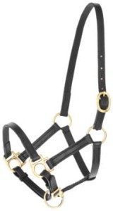 Kantar skórzany COVALIERO źrebięcy