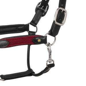 Kantar skórzany dla konia EQUESTRO