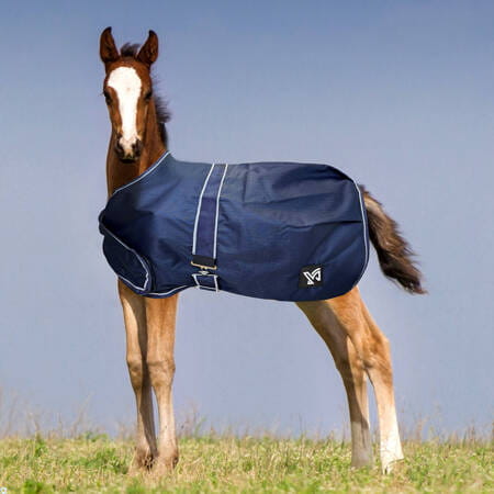 pol_pm_Derka-York-Foal-100g-zrebieca-16171_1.jpg