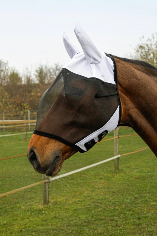 169682_Anwendungsbild__3210315_ac3e.jpg