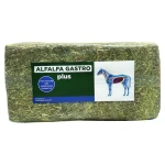 HARTOG Sieczka Alfalfa Gastro Plus 18kg - Lucerna wzbogacona olejem lnianym