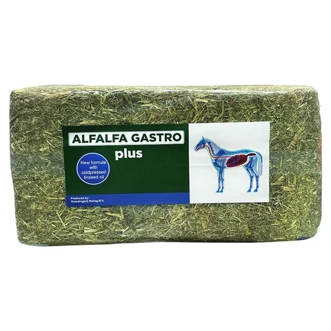 HARTOG Sieczka Alfalfa Gastro Plus 18kg - Lucerna wzbogacona olejem lnianym