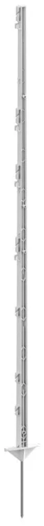 11558_2be4.jpeg
