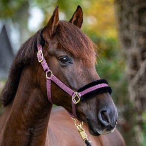  Kantar „Gretchen” z pluszowym polarem -  rozm. COB - WYSYŁKA 48 H 