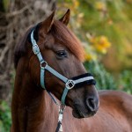  Kantar „Gretchen” z pluszowym polarem - rozm. COB - WYSYŁKA 48 H 