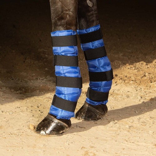 33201001_blauw-3.jpg
