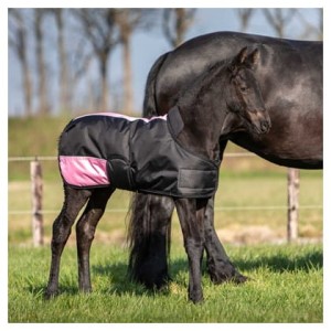 Derka źrebięca padokowa HARRY'S HORSE - rozm. 65cm