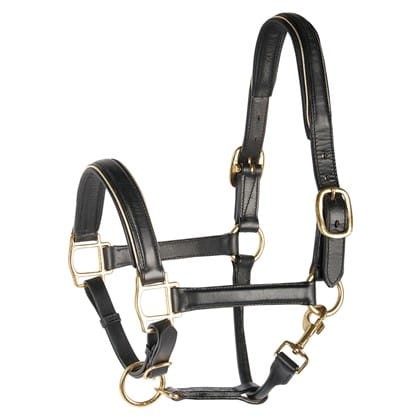 Kantar skórzany dla konia HARRY'S HORSE
