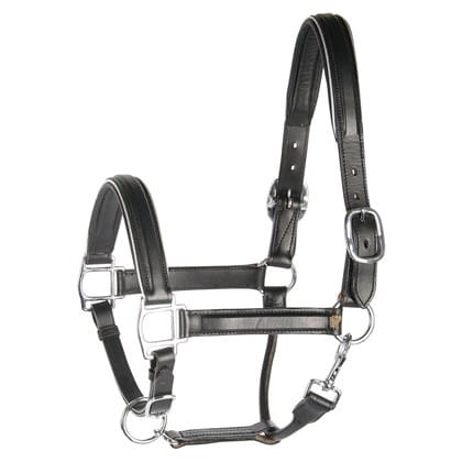 Kantar skórzany dla konia HARRY'S HORSE