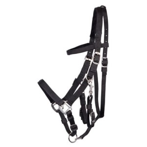 Knataro-ogłowie dla konia HARRY'S HORSE