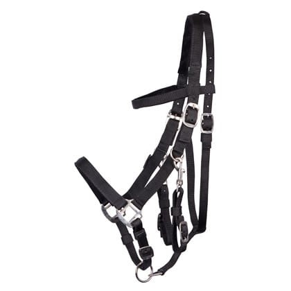 Knataro-ogłowie dla konia HARRY'S HORSE