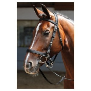 Knataro-ogłowie dla konia HARRY'S HORSE