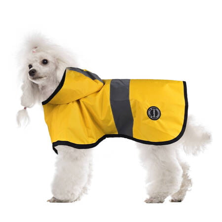 pol_pm_Plaszcz-Pariso-Raincoat-16431_1.jpg
