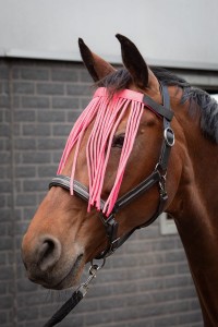 Frędzle przeciw owadom dla konia - dopinane do kantara HARRY'S HORSE