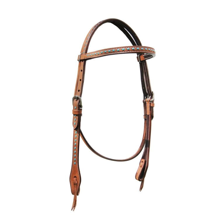 0013286_pools-western-headcollar-turquoise-insert_plh00002_750.jpeg