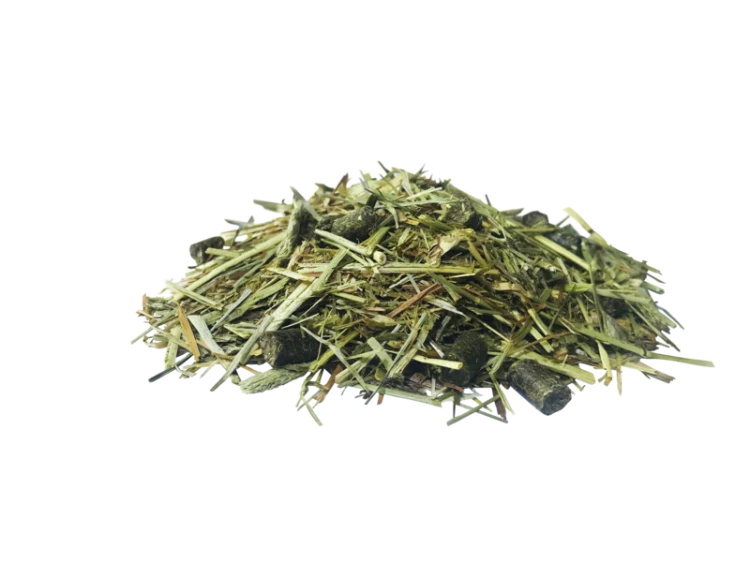 PAVO-DailyPlus-pasza.png