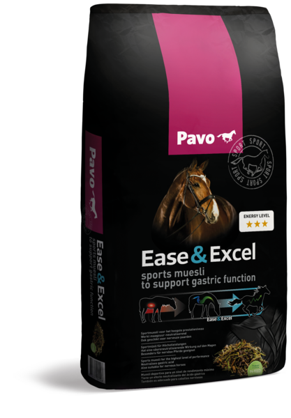 Pavo-EaseExcel-worek.png