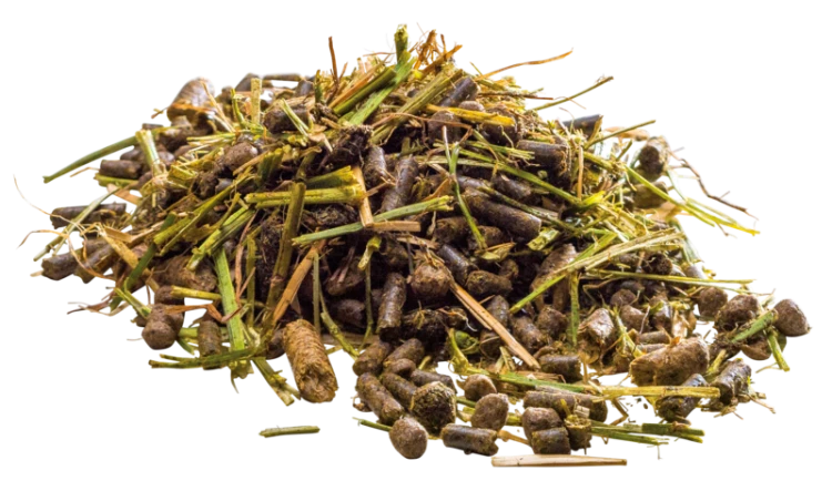 Pavo-EaseExcel-musli.png