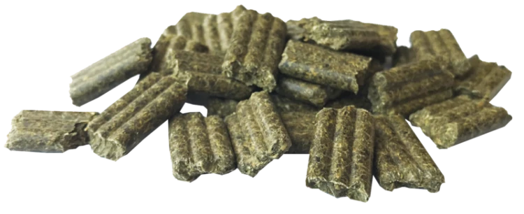 PAVO-FibreBeet-pasza.png