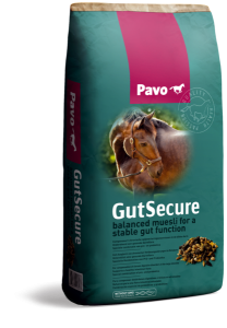 PAVO GutSecure 15kg musli na przewlekłe zaburzenia trawienne w jelicie grubym