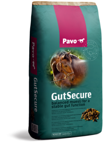 PAVO GutSecure 15kg musli na przewlekłe zaburzenia trawienne w jelicie grubym