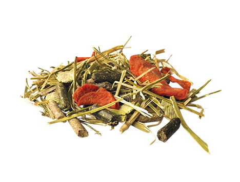 Pavo-InShape-pasza.png