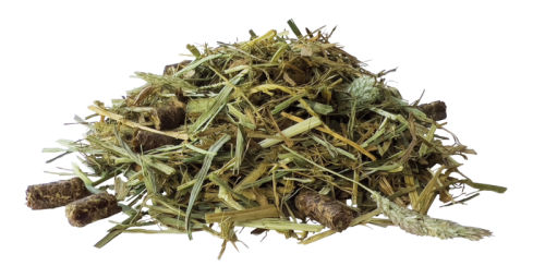 PAVO-SeniorFibre-pasza.png