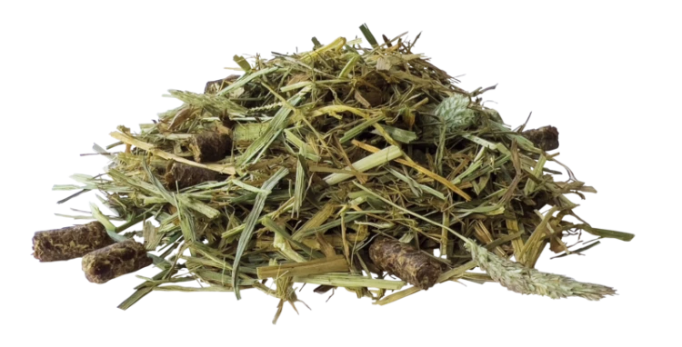 PAVO-SeniorFibre-pasza.png