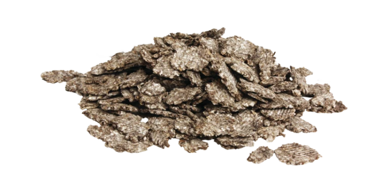 PAVO-SpeediBeet-pasza.png