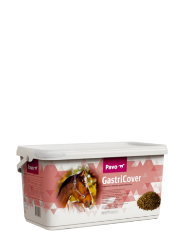 PAVO GastriCover 5kg suplement na żołądek u koni