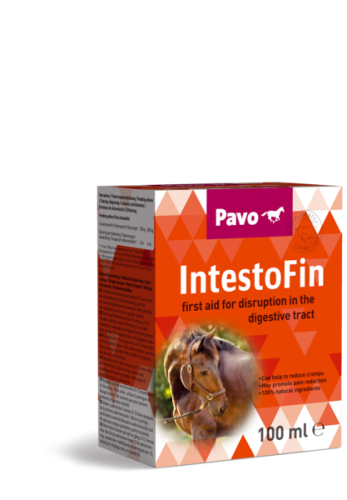 PAVO IntestoFin 100ml pomoc dla koni kolkowych