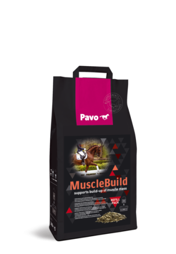 MuscleBuild-worek-3-kg.png