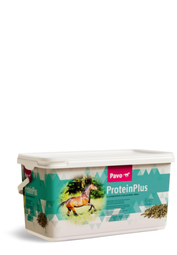 PAVO ProteinPlus 7kg wysokoskoncentrowany dodatek białkowy dla koni