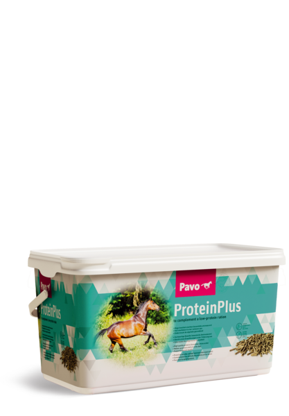 PAVO-ProteinPlus-7kg.png